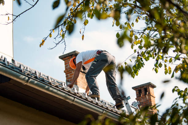 Sealant for Roof in Bloomfield, NY